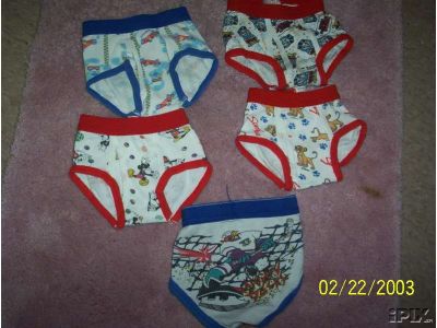 undies.jpg (27097 bytes)